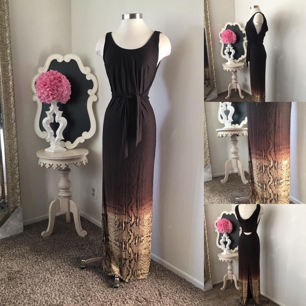 🌺Marisa K
Beautiful Brown Long  Ombré Snake Dress